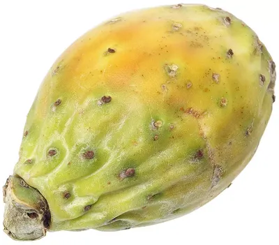 Плоды кактуса груши Pickly Souks медина в Марокко в Стоковое Фото -  изображение насчитывающей показано, традиционно: 169410274