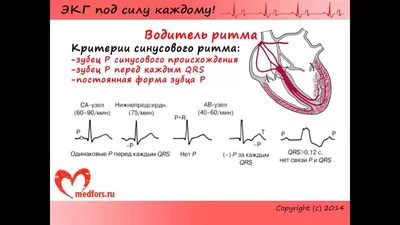 38 недель беременности | Анастасия Ковешникова | Дзен
