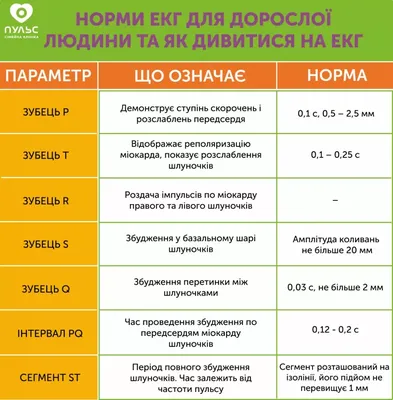 Кардио-ренальный синдром : на перекрестке кардиологии и нефрологии (Russian  Edition): Боукхелоуа, Моурад, Кхелгхоум, Соуад: 9786206222330: Amazon.com:  Books