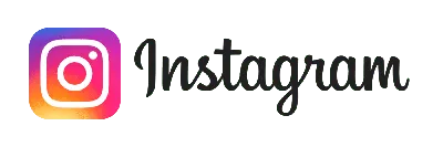 New Black Instagram Logo 2020 transparent PNG - StickPNG