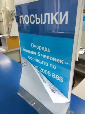 Фотоподборка четверга (30 фото)