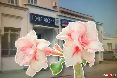 Прикольные картинки » 24Warez.ru - Эксклюзивные НОВИНКИ и РЕЛИЗЫ