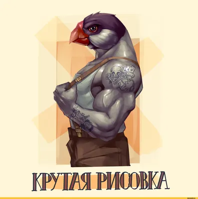Открытка с днем рождения с прикольной надписью с приколом Postcard  136272826 купить в интернет-магазине Wildberries