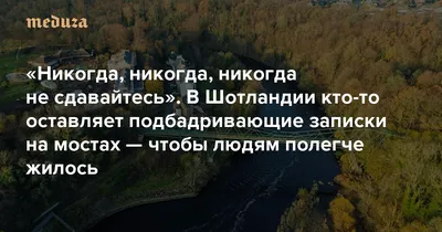 Набор Веселых Людей В Мультяшном Стиле Мужчина И Женщина Подбадривающие  Флагом И Сердцем — стоковая векторная графика и другие изображения на тему  Векторная графика - iStock