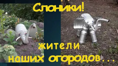 Оригинальные поделки из пластиковых бутылок для дачи, сада, огорода. -  YouTube