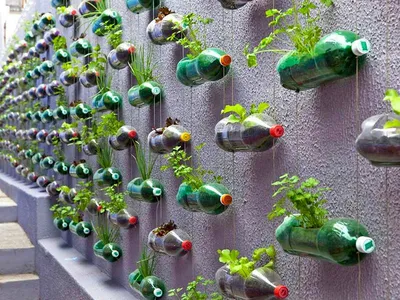 Поделки из пластиковых бутылок для сада и огорода: фото и описание