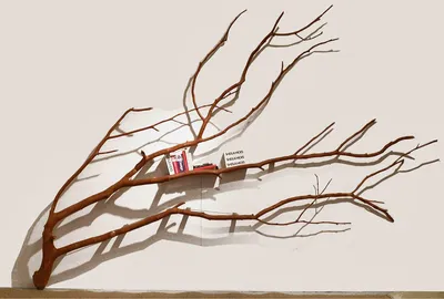 Лес в интерьере: 10 идей декора из веток дерева :: Дизайн :: РБК  Недвижимость