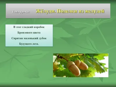 10 шт., винтажные украшения из желудей, красочные фетровые шарики, сделай  сам, материал, кулон, подвеска в форме ананаса, дуба – лучшие товары в  онлайн-магазине Джум Гик