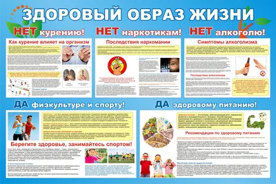 Городская поликлиника №12 – Ответственное отношение к здоровью