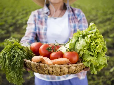 Садово-огородные работы на май, полный список - Agro-Market24