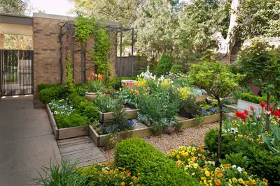 Красивый огород своими руками: оформление огорода на дачном и садовом  участке — фото и идеи | Houzz Россия