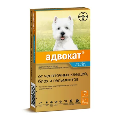 Глисты у собак 🐶 – причины заражения, симптомы и лечение гельминтоза