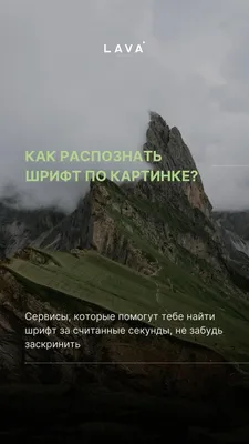 Помогите подобрать шрифт для материалов государственного образовательного  учреждения дополнительного образования