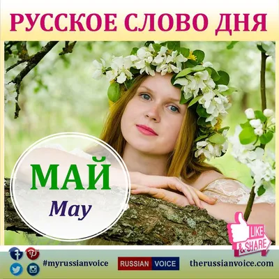 Весна - моё самое любимое время года, а май - мой самый любимый месяц в  году. Мне нравится, когда цветут деревья и ярко светит солнце. … | The  voice, May, Instagram