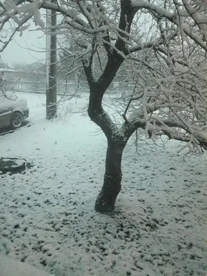 Митино - В зимнем парке так бело, так бело... Кидайте в комментарии ваши  любимые песни про зиму! Снимок отсюда: instagram.com/kat.stepina/ | Facebook