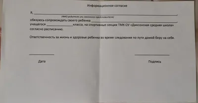 Мастер-класс Роспись по камню детям на день рождения в Москве