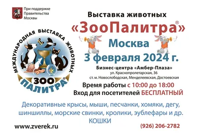 Погода в Тюмени на 23, 24, 25 и 26 января 2024 года - 22 января 2024 - 72.ru