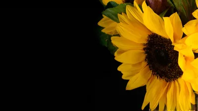 Подсолнух шелк искусственный цветок букет фотография Фон Большой Подсолнух  цветы для дома декоративный цветок Фотография реквизит | AliExpress