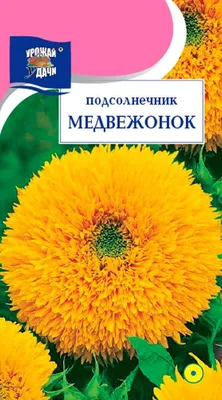 Семена цветов Подсолнух Медвежонок, 1 г, годен до 01.23, УЦЕНКА:  представляем в каталоге магазина семян и средств для обработки растений  «Зелений світ»