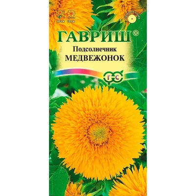 Купить Семена - Подсолнух Медвежонок, махровый, Hem Zaden (Нидерланды), 1  г. ❱❱ Колибри-маркет ❰❰❰