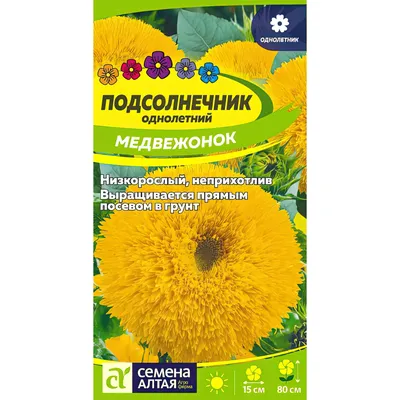 Подсолнечник Плюшевый мишка 1 г Gl Seeds (ID#542832338), цена: 9.80 ₴,  купить на Prom.ua