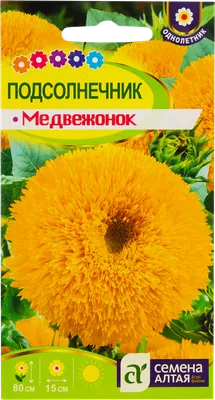 ПОДСОЛНЕЧНИК - mydobro seeds