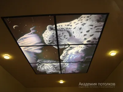Натяжные потолки с подсветкой: 72 фото современных вариантов | ivd.ru