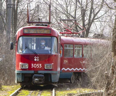 В рамках Новой модели транспортного обслуживания лазурных автобусов  становится больше. Сегодня на маршрут № 242, курсирующий.. | ВКонтакте