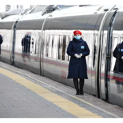 High-speed train Sapsan - business class. Train from St. Petersburg to  Moscow - YouTube
