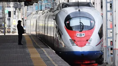 Сапсан за 48 000 р. - что это?