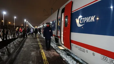 Поезд «Стриж» презентовали в Нижнем Новгороде (Фото)