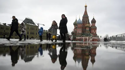 За минувшую ночь в Москве выпало 10% месячной нормы осадков — Главные  новости Москвы, России и мира