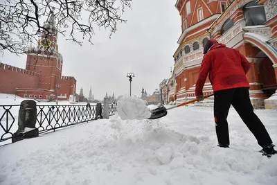 Нехолодная, но капризная: в Гидрометцентре сообщили, какой будет зима  2023-2024 в Москве - KP.RU