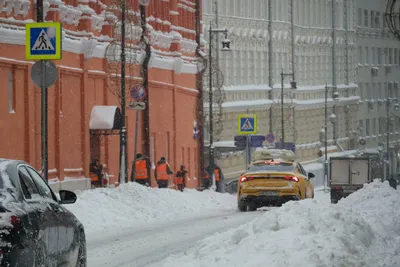 Москвичи | Погода в Москве сегодня | Дзен
