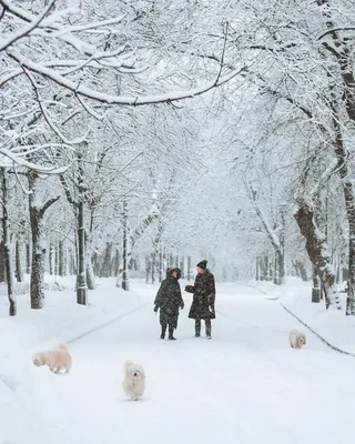 Синоптики рассказали, когда прекратится снегопад в Москве | РБК Life