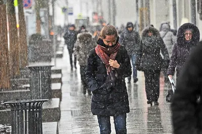 Погода в Москве и Подмосковье 1 и 2 декабря: ждать ли мороз и снегопад