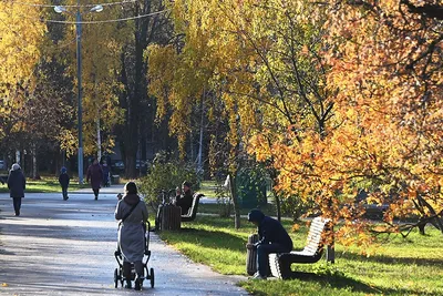 Морозно и снежно: как изменится погода в Москве в начале декабря