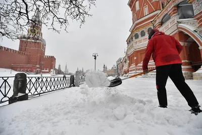 Какой будет погода в Москве и области на длинных майских выходных