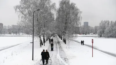 Погода в Москве 23 сентября: местами дождь и немного потеплеет - Российская  газета