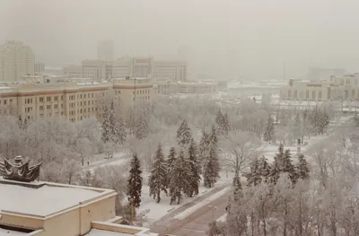 Погода в Москве: последние новости, прогнозы синоптиков, когда пойдет снег