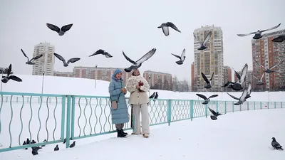 Погода в Москве в первую неделю 2024 года бьет рекорды — Сноб