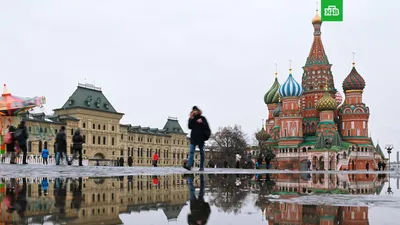 Погода в Москве и Петербурге: вернется ли зима, чего ждать на Новый год