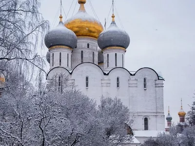 Агентство городских новостей «Москва» - Фотобанк