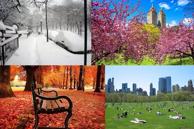 Погода в Нью-Йорке в разные времена года