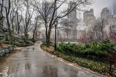Неприятный сюрприз: в Нью-Йорке в очередной раз ухудшится погода -  ForumDaily