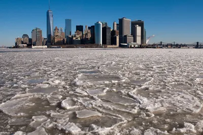 Берегите тепло: в Нью-Йорке ожидают арктический циклон