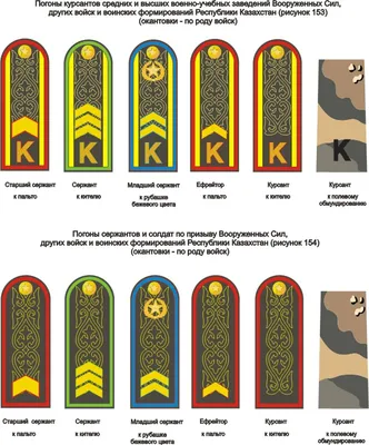 Форма одежда полицейского, МВД, фуражка, кокарда, погоны, шеврон в векторе  [CDR] – ALLART.KZ