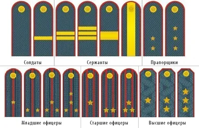 Погоны капитана МВД Казахстан. — покупайте на Agora.Kz по выгодной цене.  Лот из Алматинская область, Алматы. Продавец MasterD sr. Лот 97757602534526