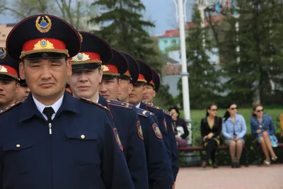 Купить погоны прокуратуры подполковник с вышитыми звездами в  интернет-магазине военной одежды Барракуда