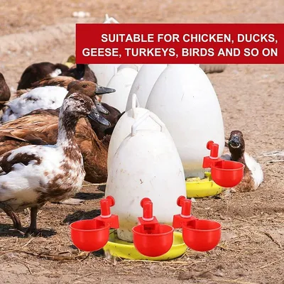 Автоматические колокольные поилки для птицы: бройлеров, индюков, гусей,  цыплят — Agro-Ukraine